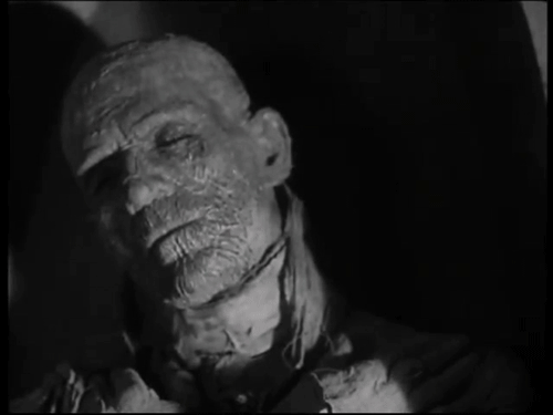 mummy karloff cesar zamora
