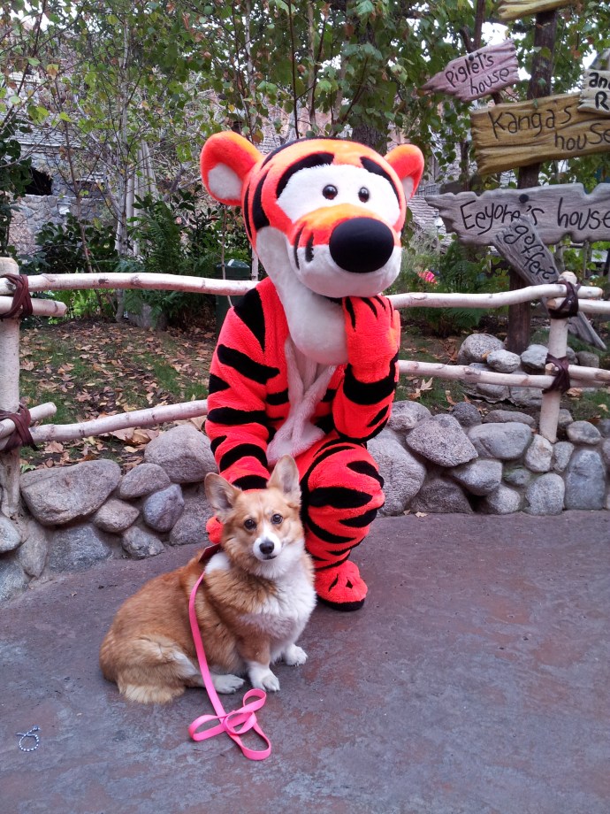 Pancake learns this is the last photo with Tigger....so sad.