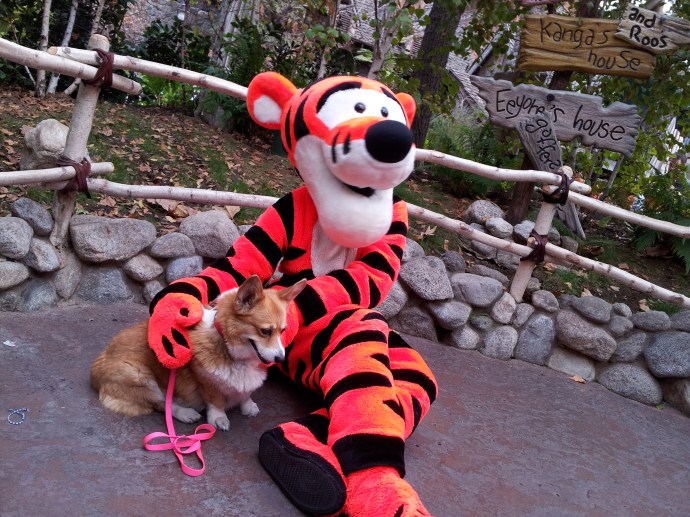 Tigger loved Pancake so much that he got down on the floor with her!