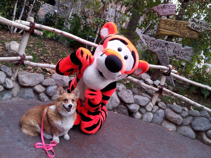 Tigger and Pancake hanging out.