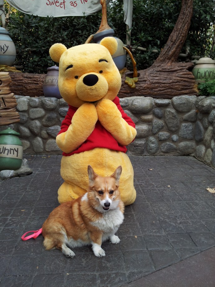 Pancake knows there's something behind her.