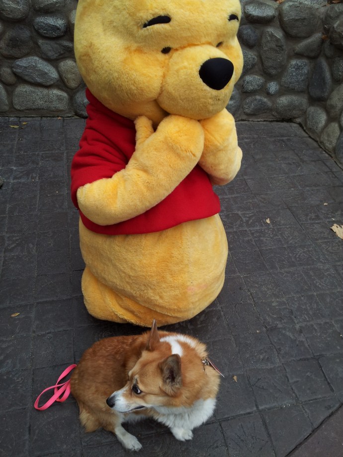 Pooh's getting a little excited hanging out with Pancake