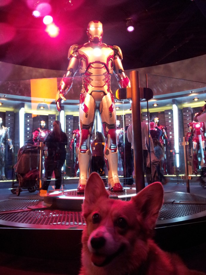 Pancake the Corgi and Ironman