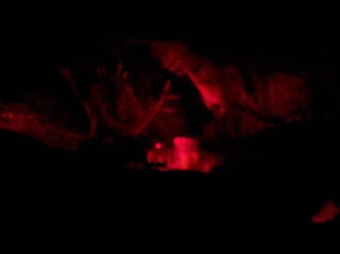 Pancake the Corgi and Dinosaurs