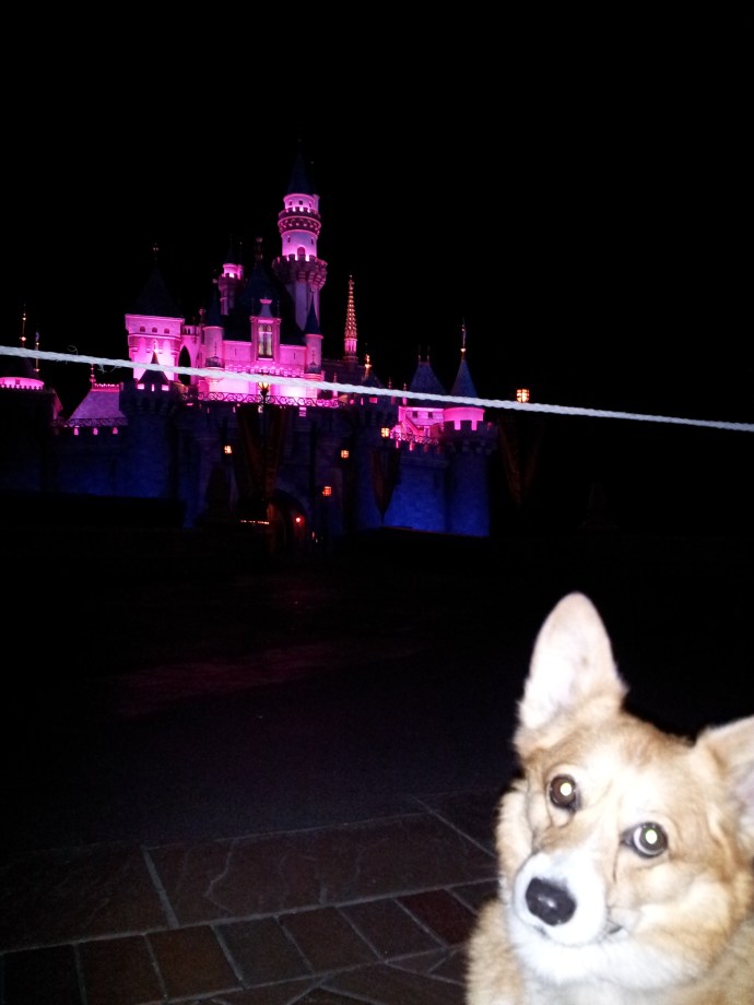 Pancake and the Magical Castle at Disneyland