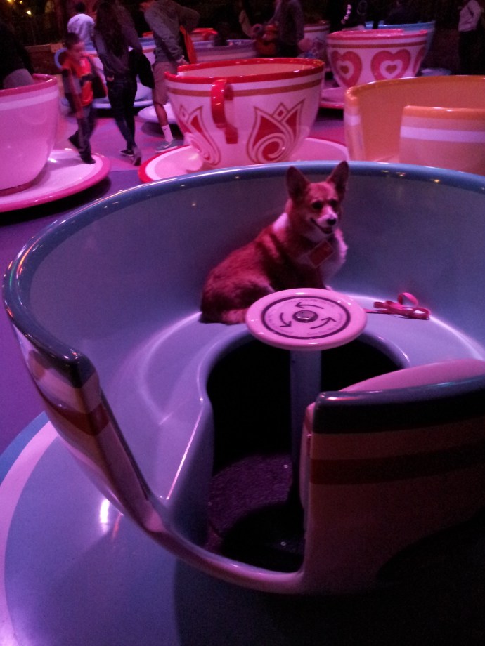 Pancake in the Teacups